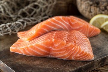 Salmon