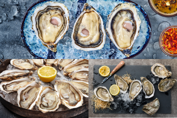 Oyster Flight