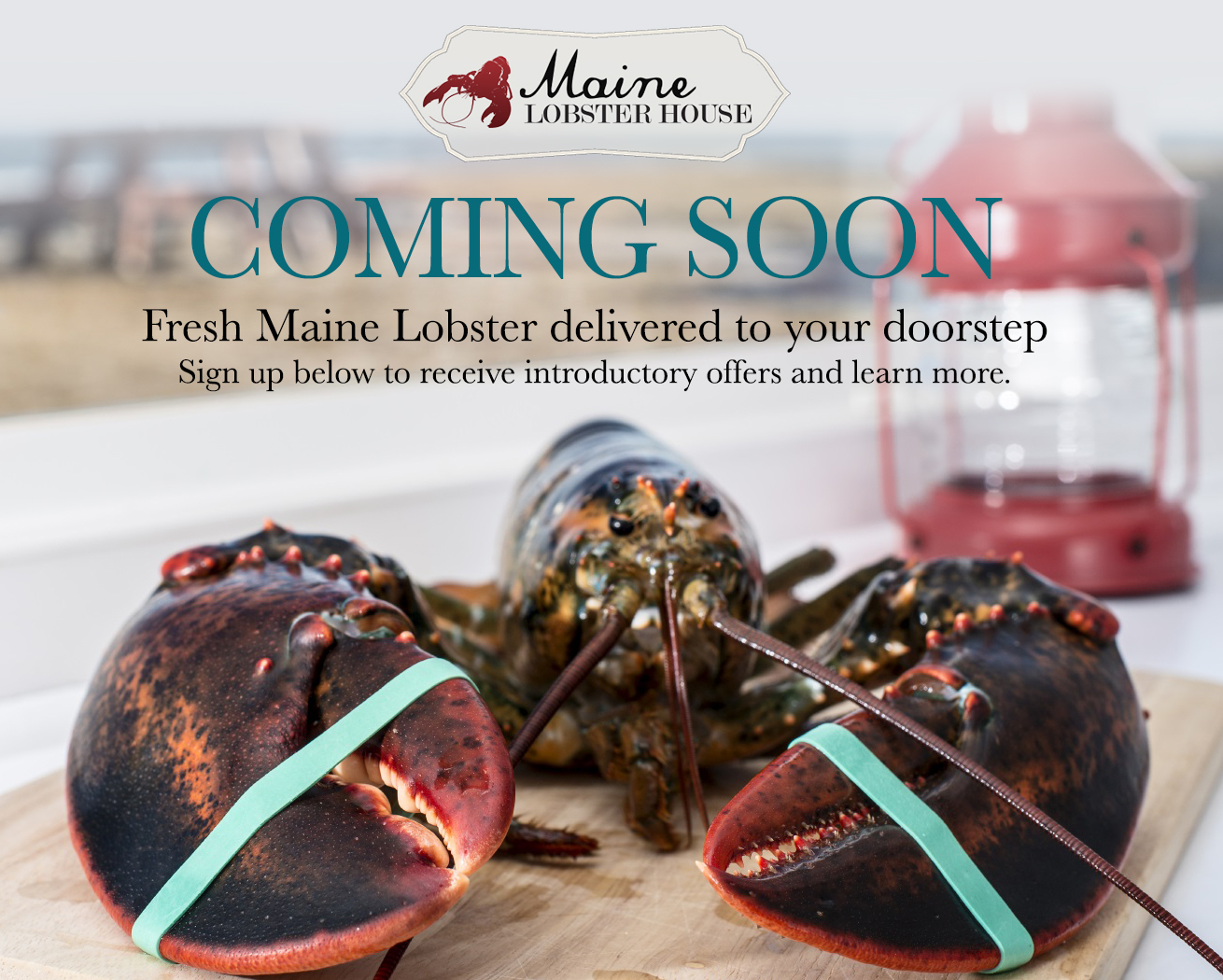 Maine Lobster House - Coming Soon!