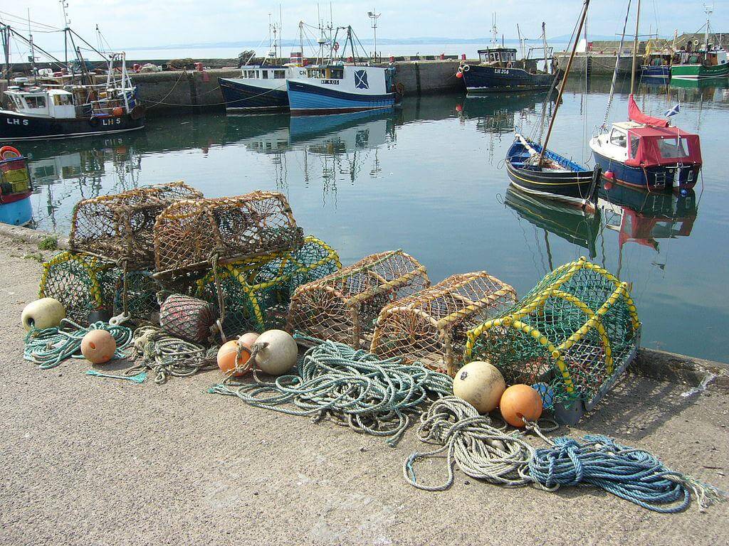 Maine Lobster Season Is It Everything It’s Cracked Up to Be? Seafood