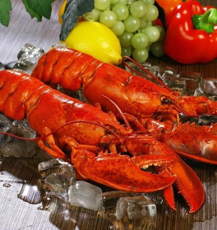 cooked lobster on ice