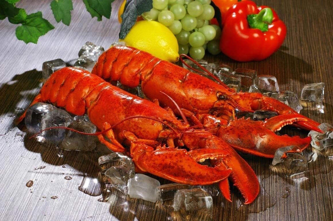 cooked lobster on ice