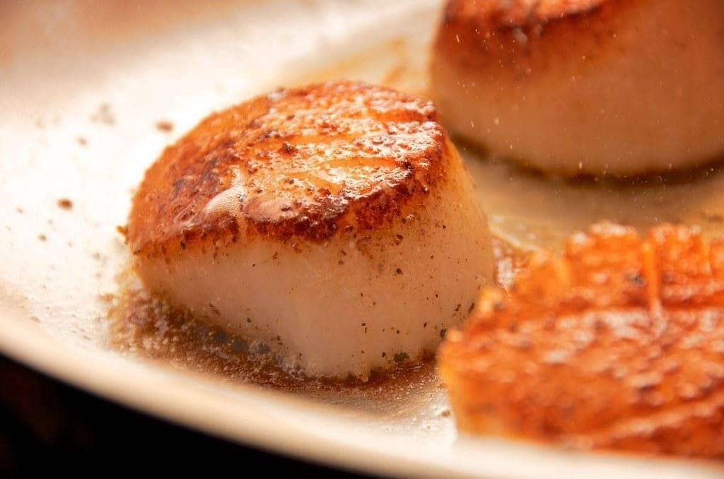 cooked scallops