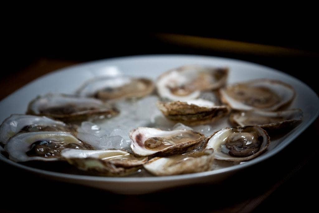 How to Shuck Oysters Better: 5 Tips to Try Today — In A Half Shell