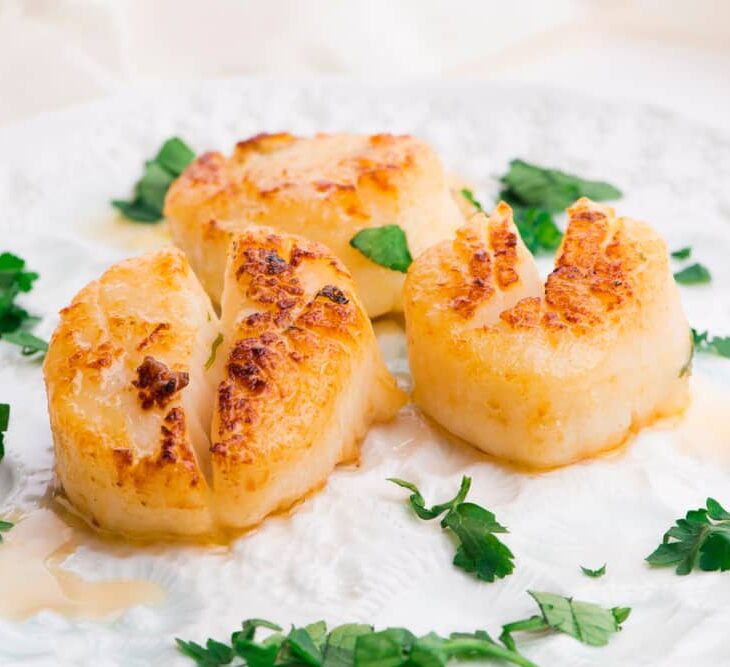 cooked scallops