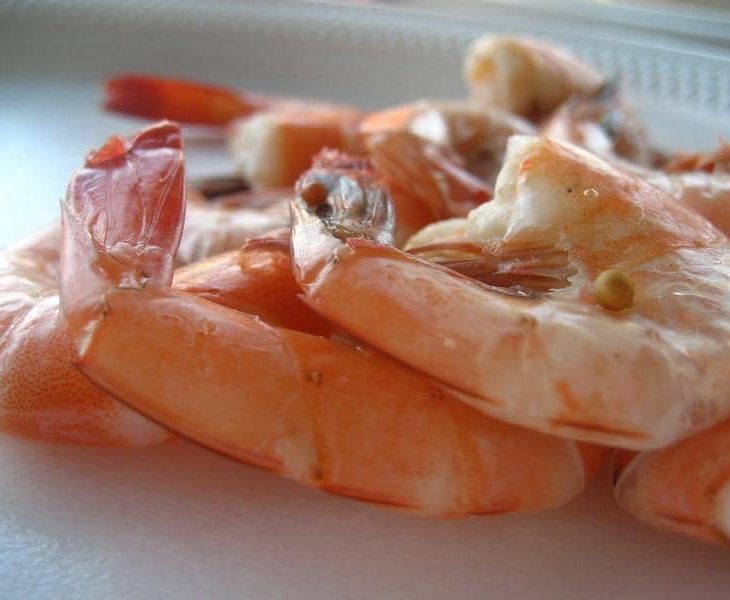 cooked shrimp