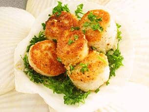 seared scallops garnished with herbs