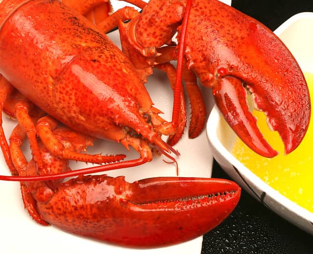 red lobster ready to cook
