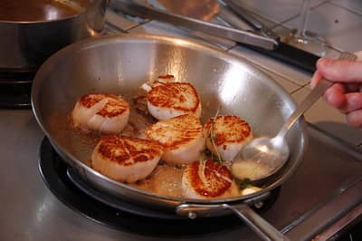 pan seared scallops with sauce