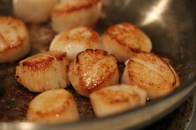 pan seared scallops