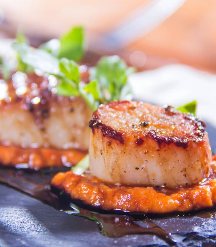 scallops