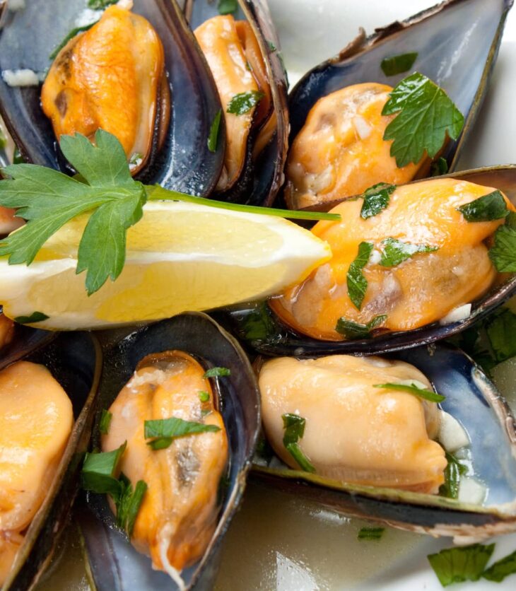 mussels with white wine sauce