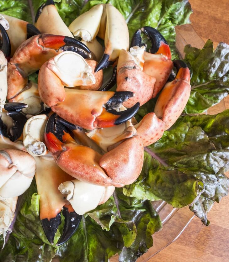 stone crab claws on lettuce