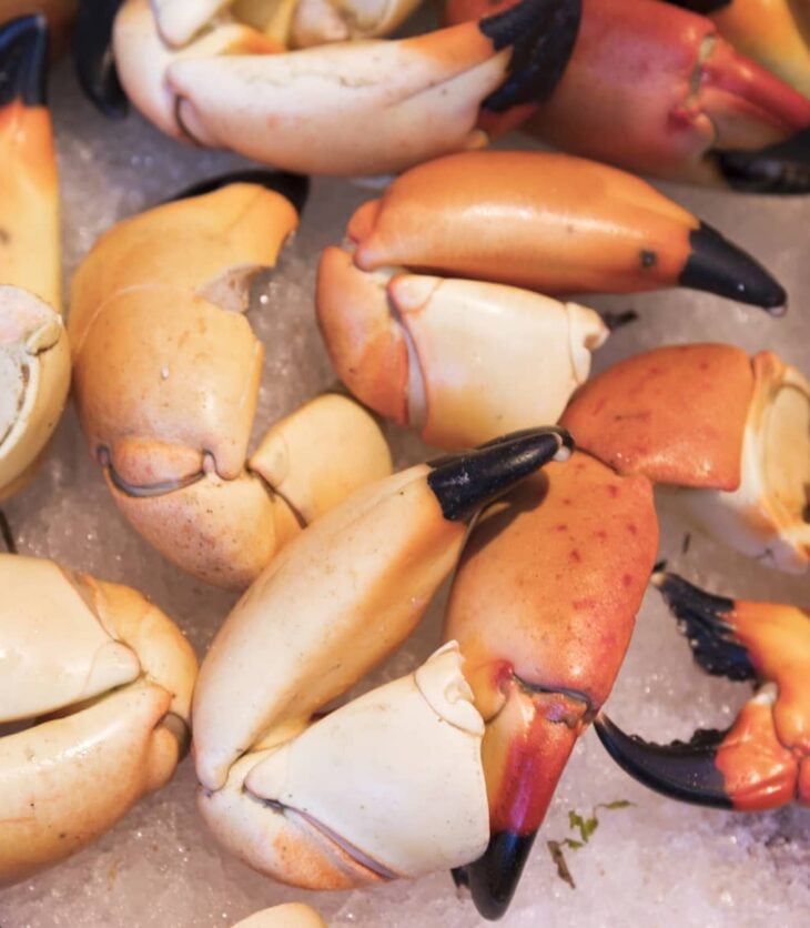 Cooking & Preparation Archives - Seafood University