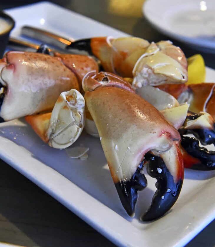 stone crab claws
