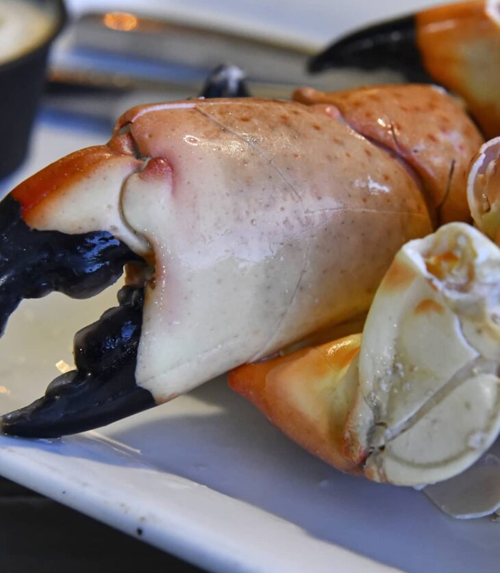 stone crab claws